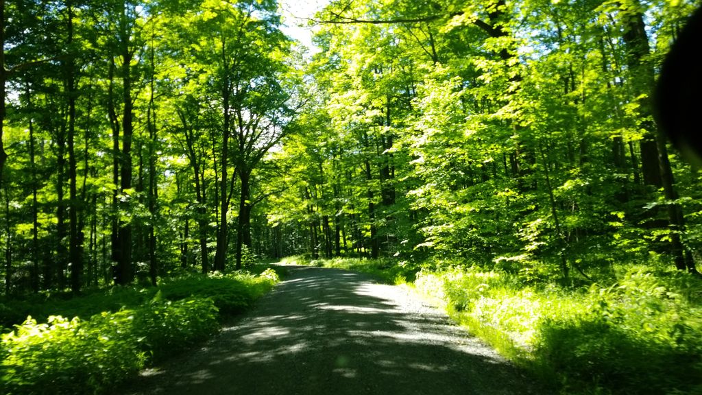 Shaggers Loop