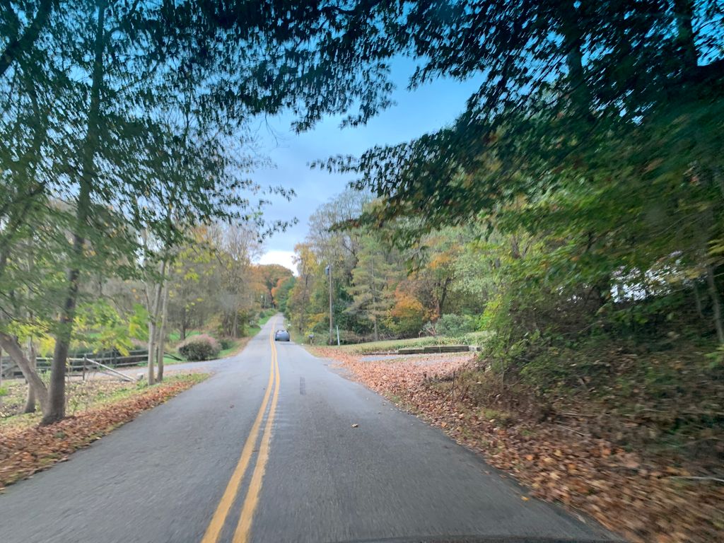 Ivy Branch Trail (orange)