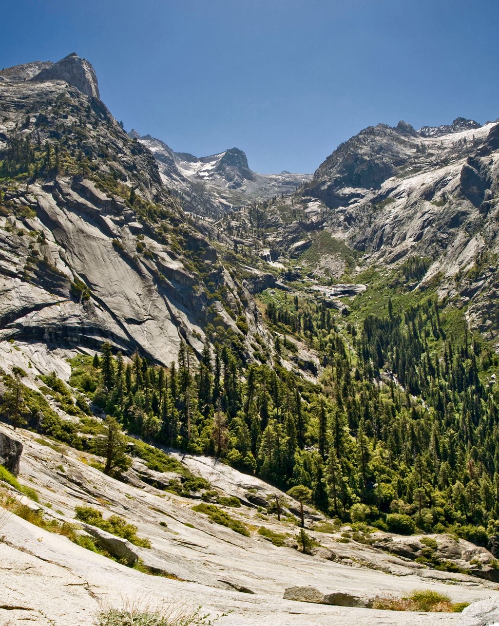 Bearpaw Meadow Backpackers Campground