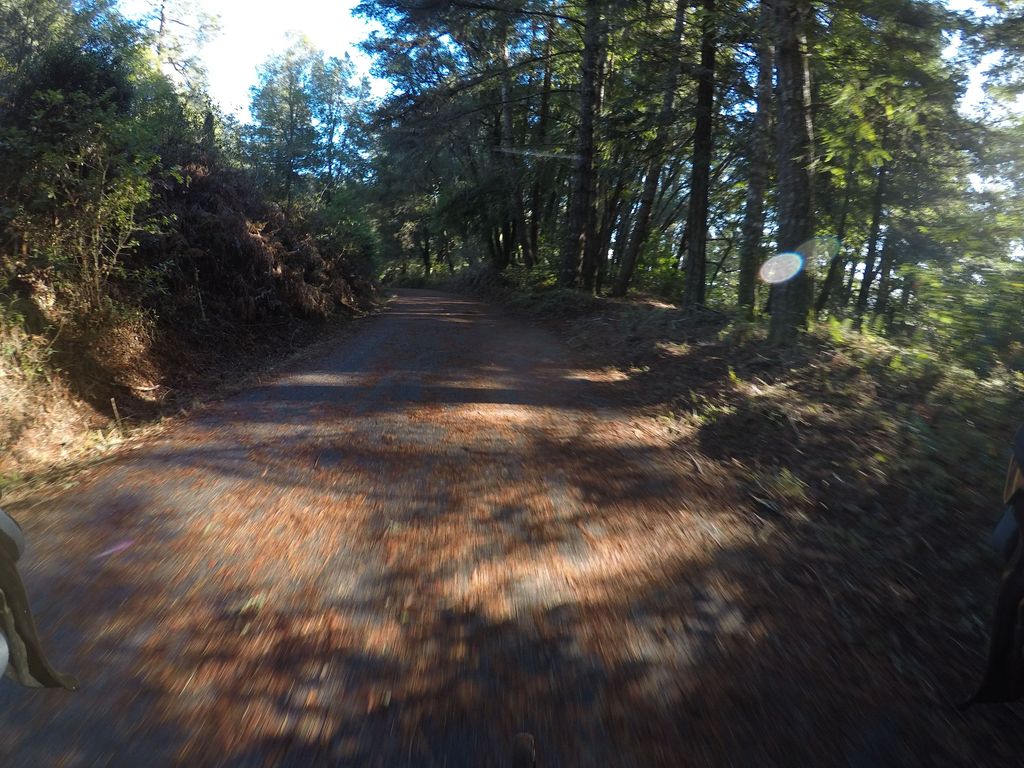 Pipeline Road
