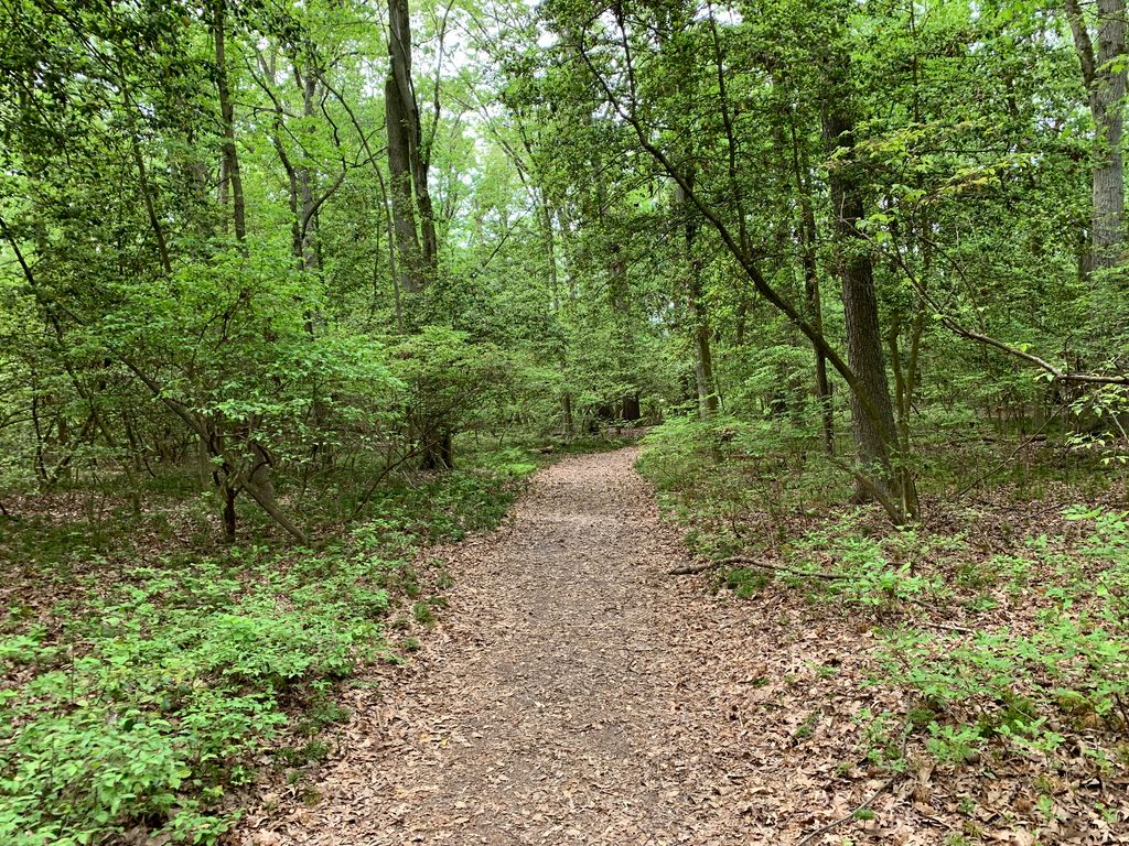 Weiskittel Trail
