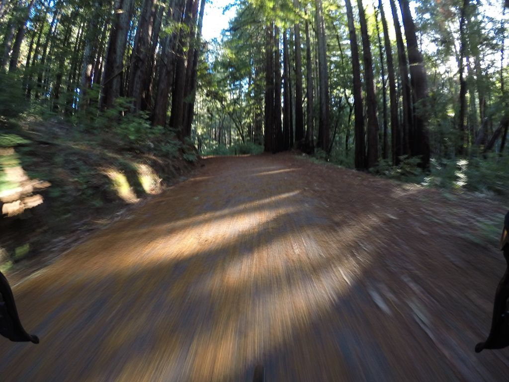 Eagle Creek Trail