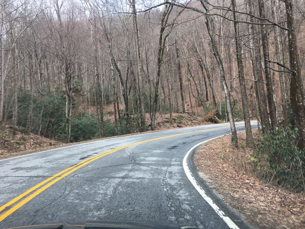 Oil Camp Creek Road