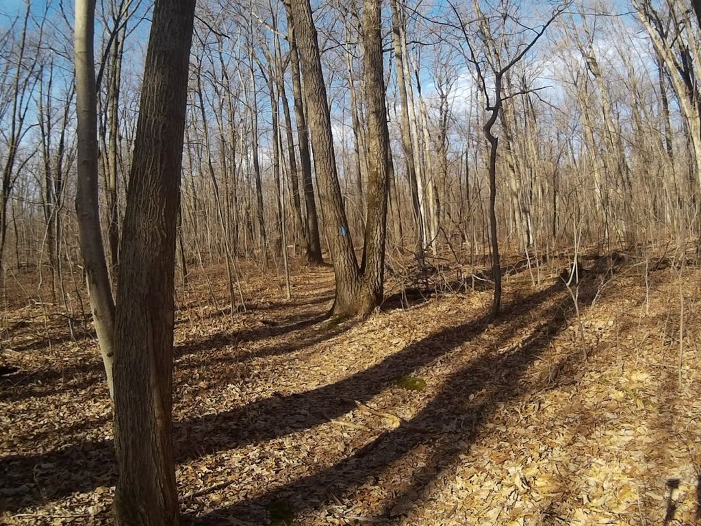 Mount Nittany Blue and White Trails