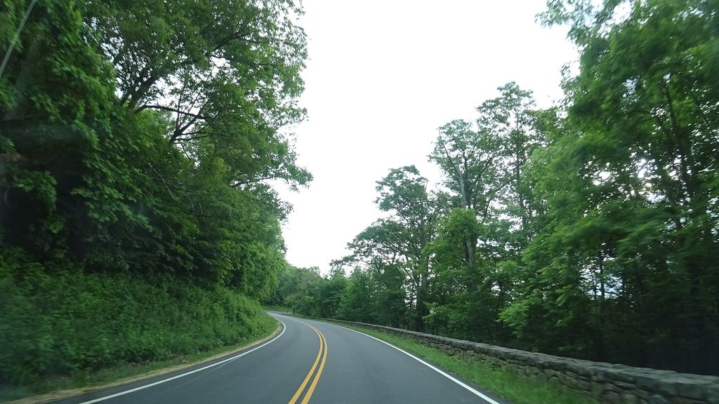 Meadow Springs Trail