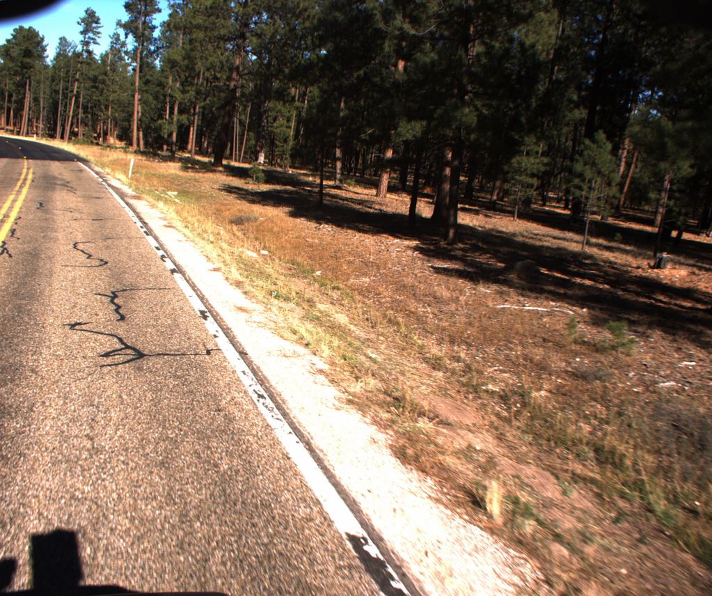 Ceballos Trail #109