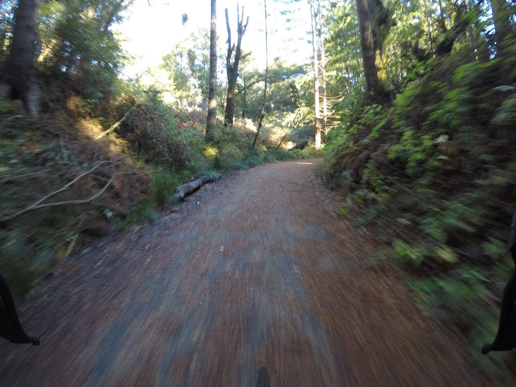 Buckeye Trail