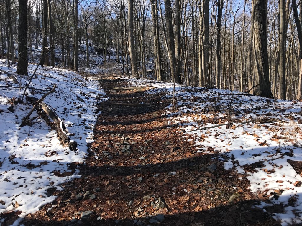 White Oak Trail