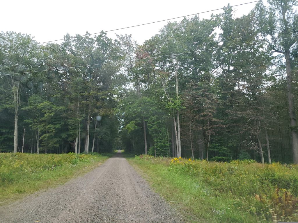 Meeker Trail