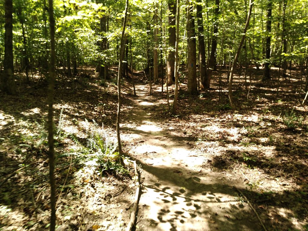 Griffin Meadow Trail