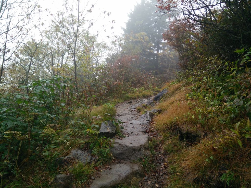 Forney Ridge Trail
