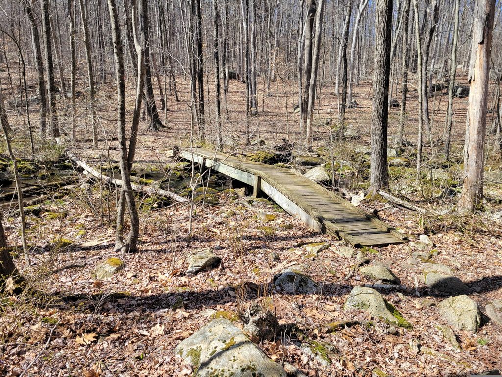 Ranger Trail