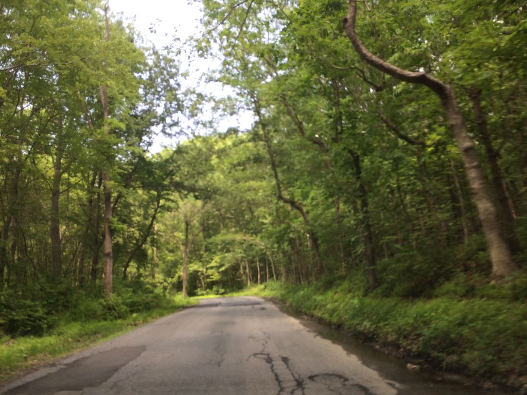 Flowing  Free Trail