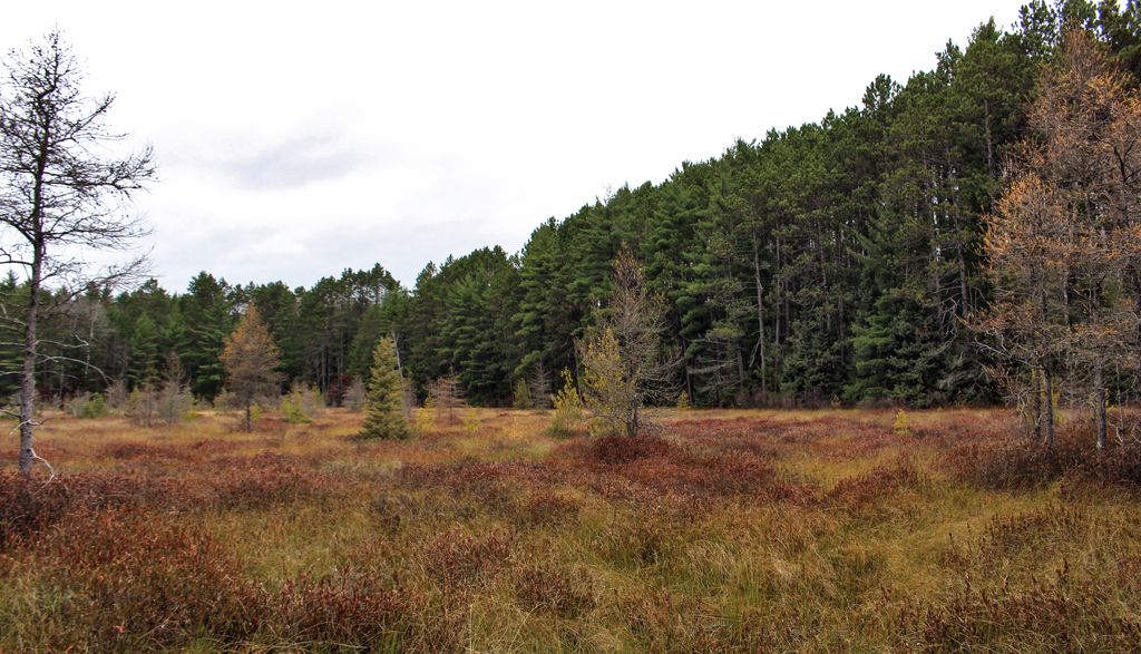 Sevenmile Trail