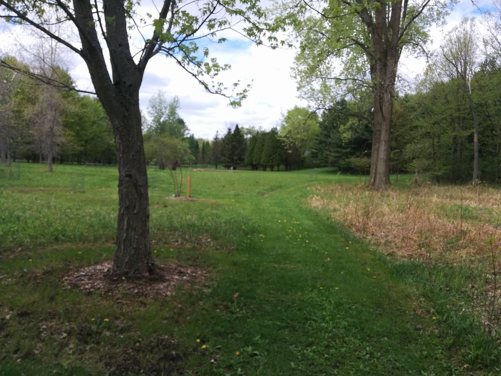 Sugar Bush Trail