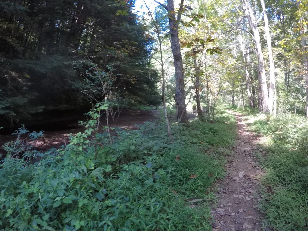 Lake Shore Trail