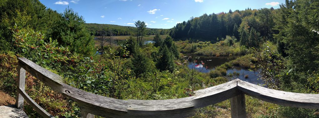 Basin Pond Trail