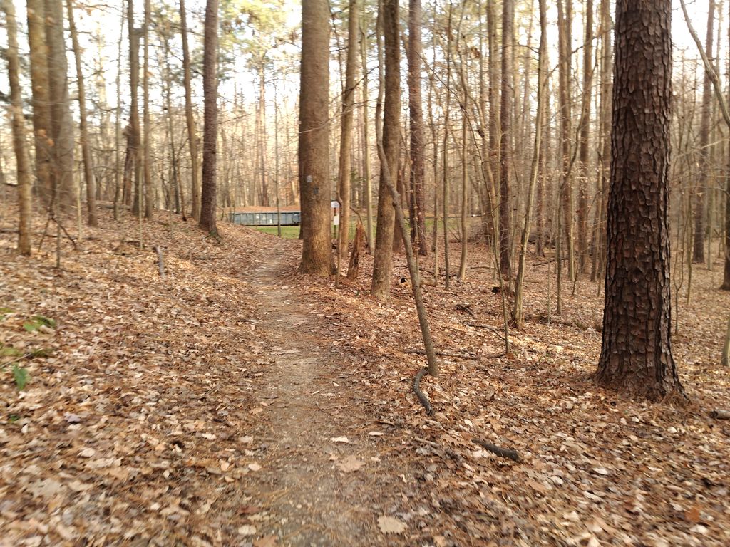 Green Trail