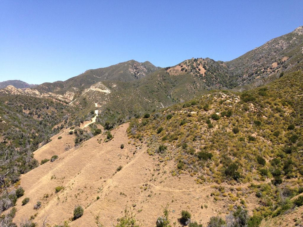 Horse Pasture Camp