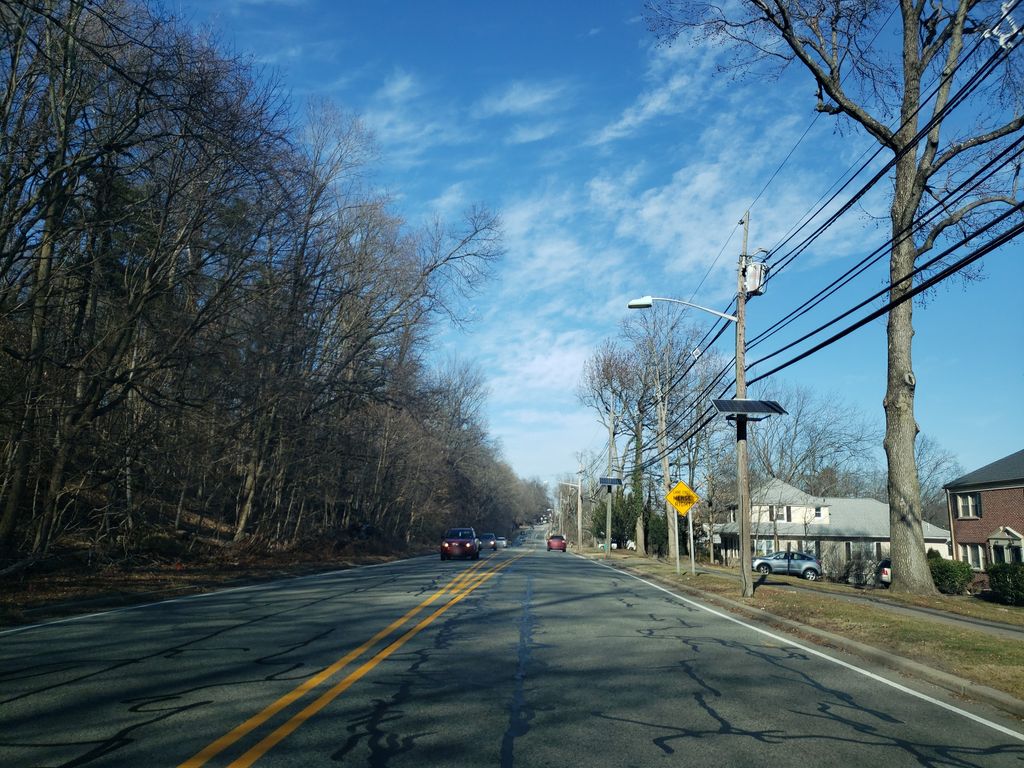 Zoo Loop