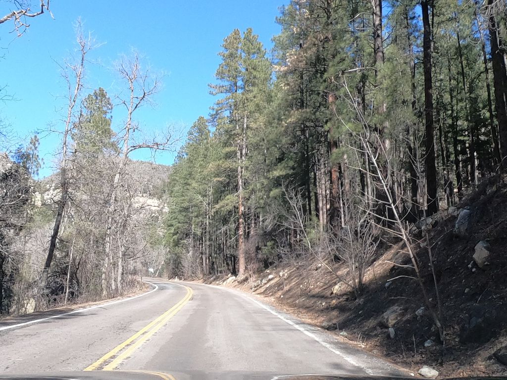 Harding Springs Trail #51