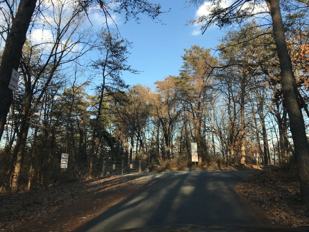 Orange Trail