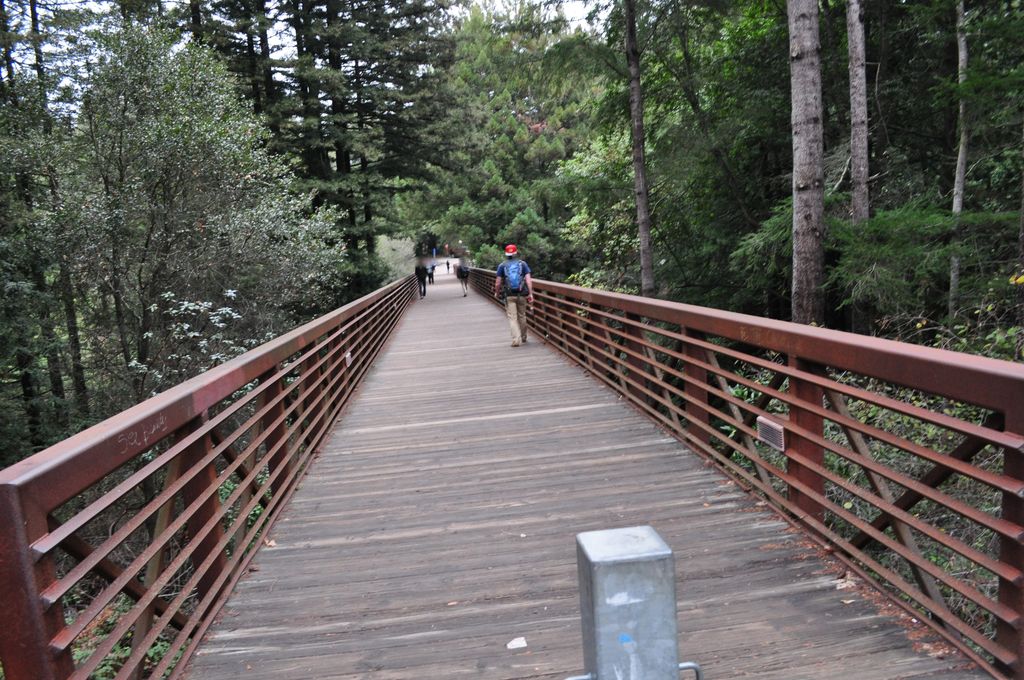 Engineering wheelchair accessibility