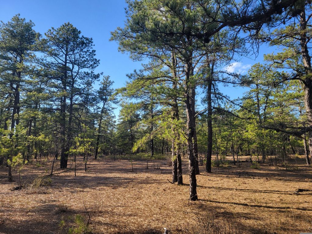 Tindey Hiking Trail