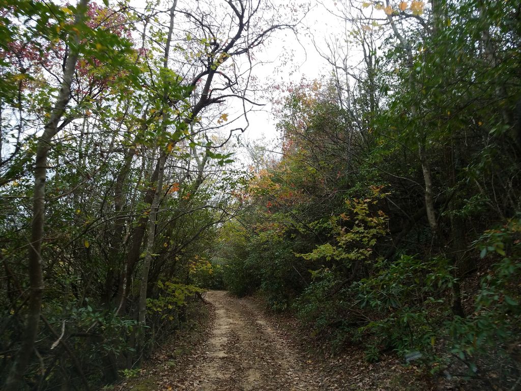Appalachian Approach Trail