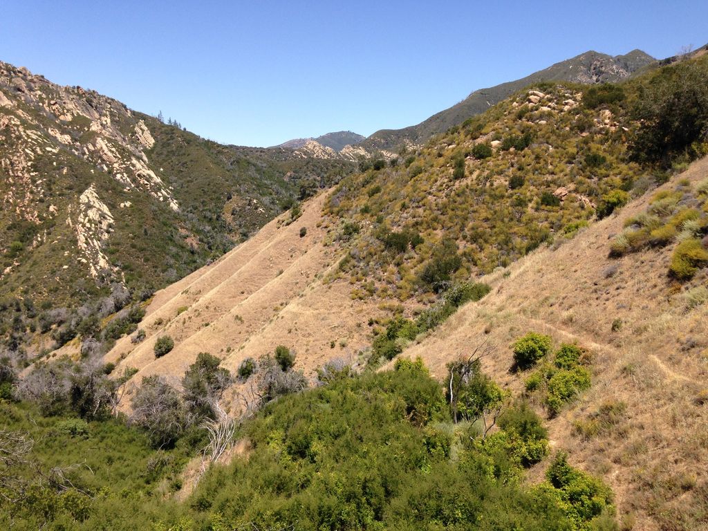 Wildcat Campground