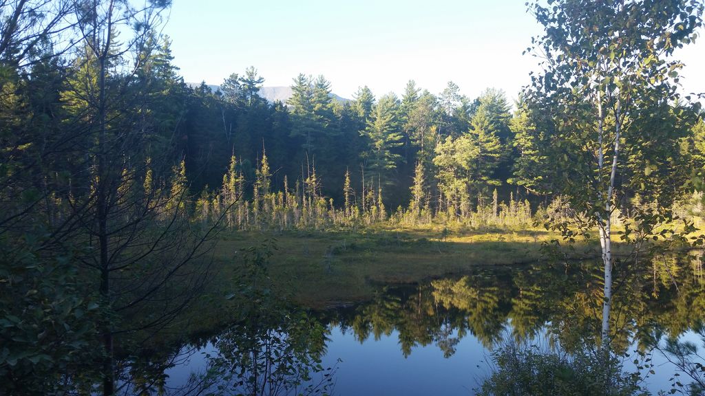 Kettle Pond Trail