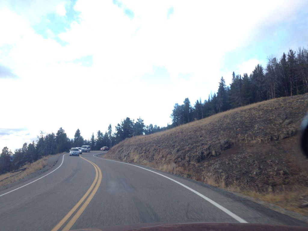 Dunraven Pass - Mount Washburn Trail
