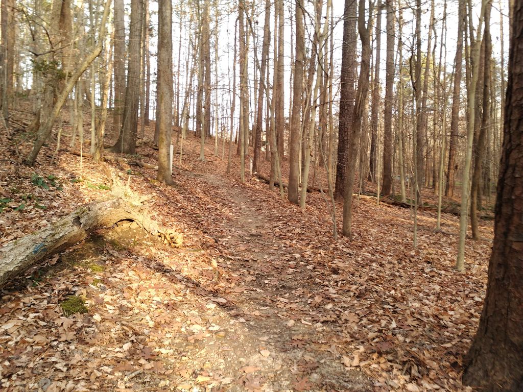 Red Trail