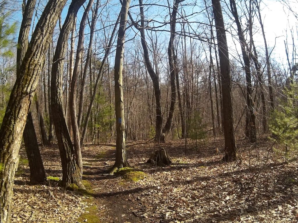 Mount Nittany White Trail