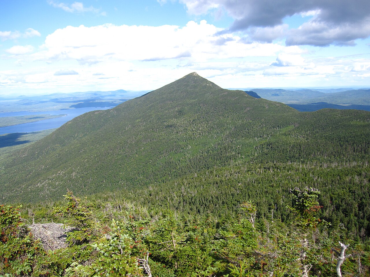 Horns Pond Lean-tos
