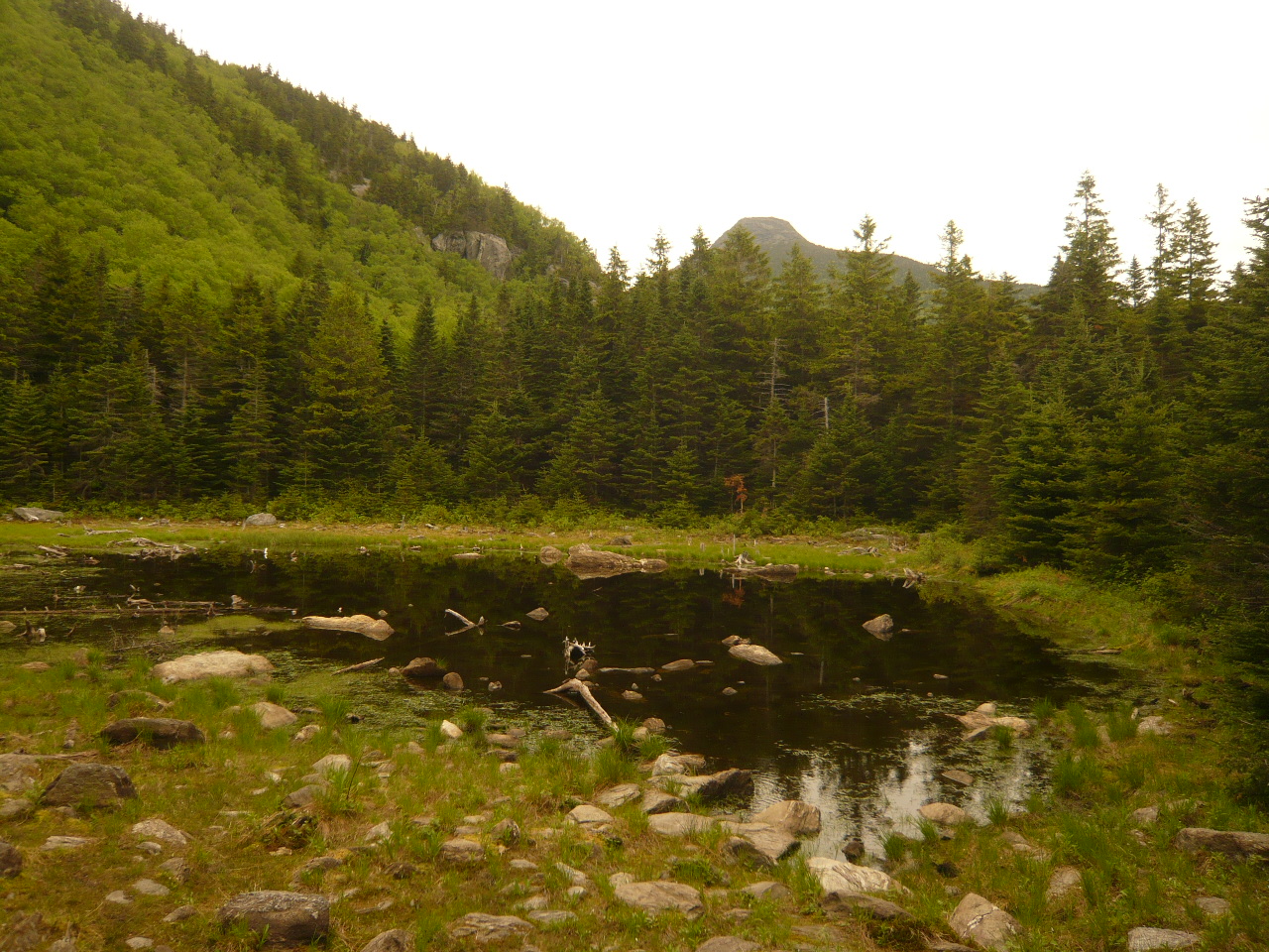 Hump Brook Campsite