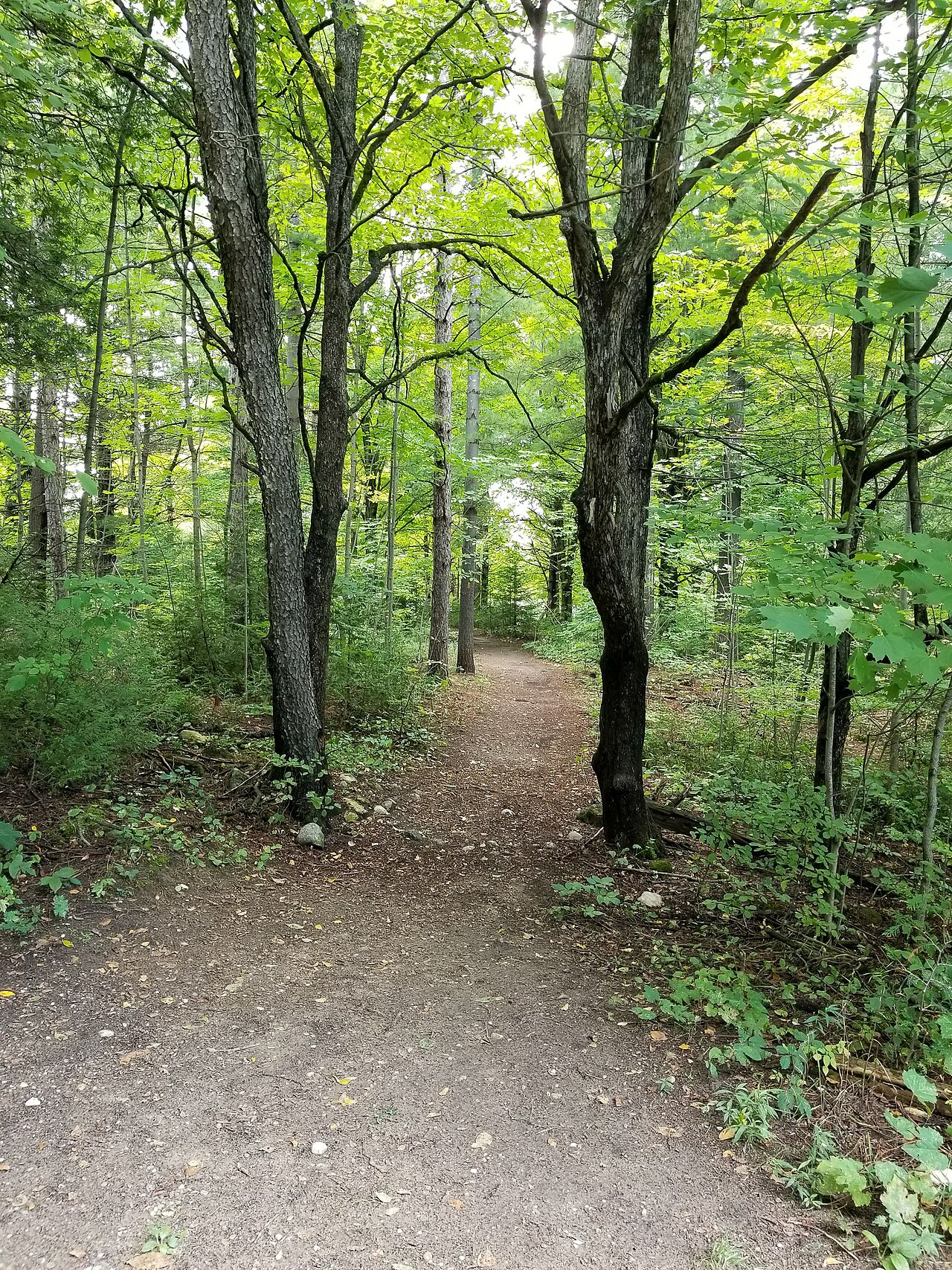 Saugeen Cedars Family Campground