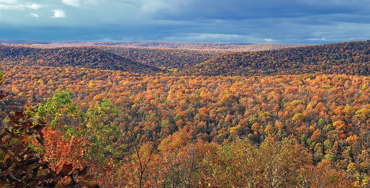 008 Spruce Run Road