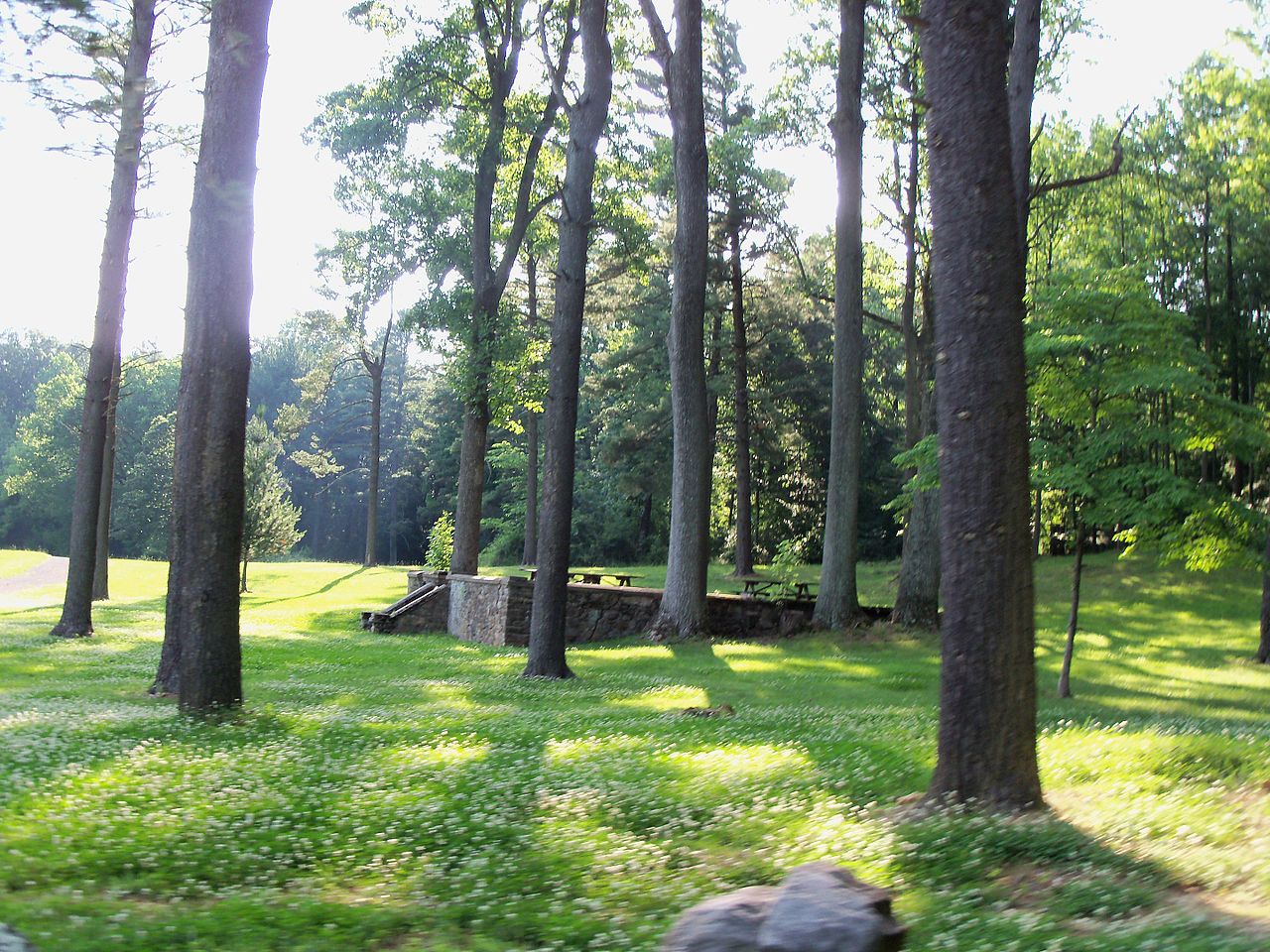 Turner Farm