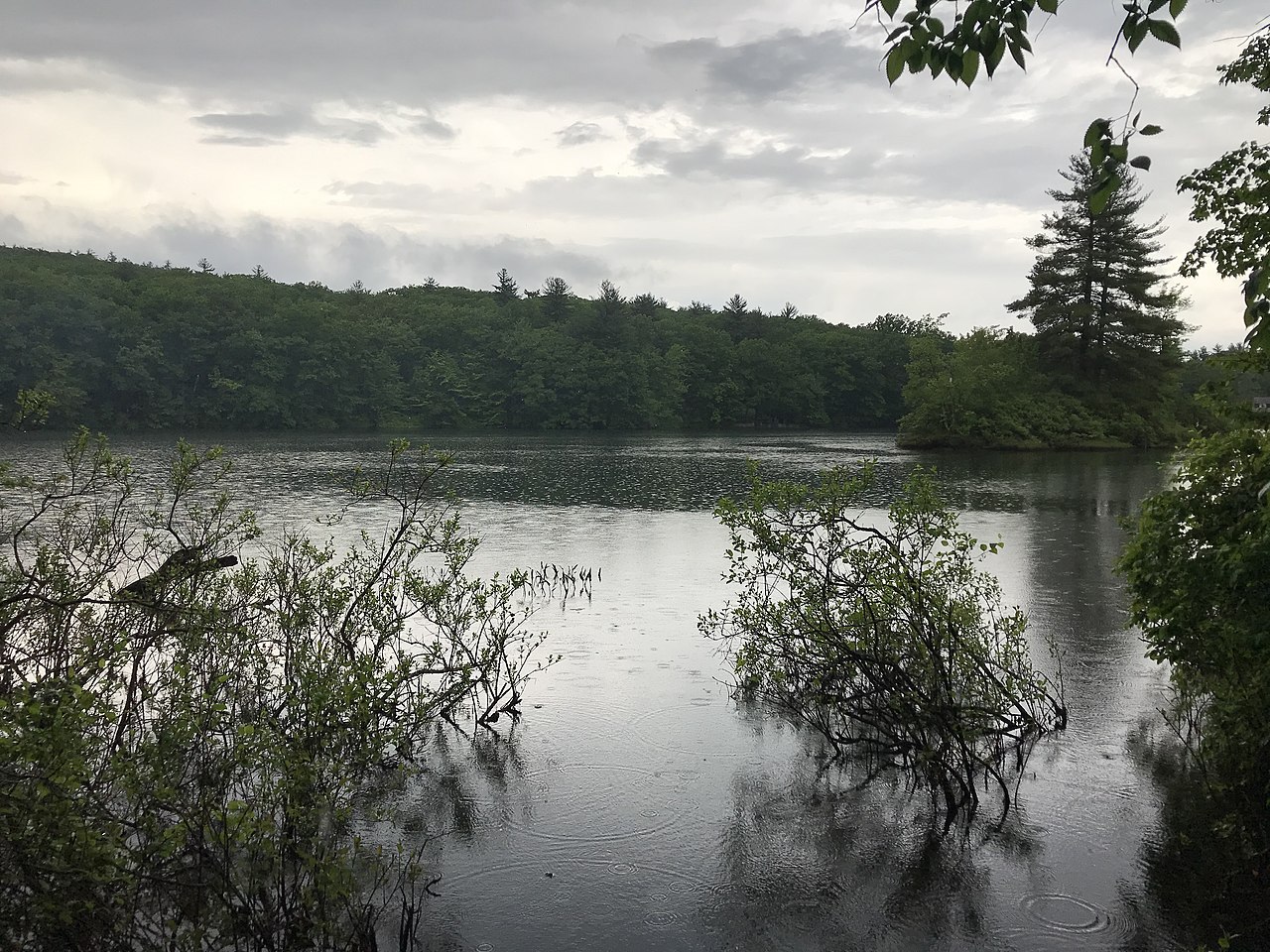 Pearl Hill Campground