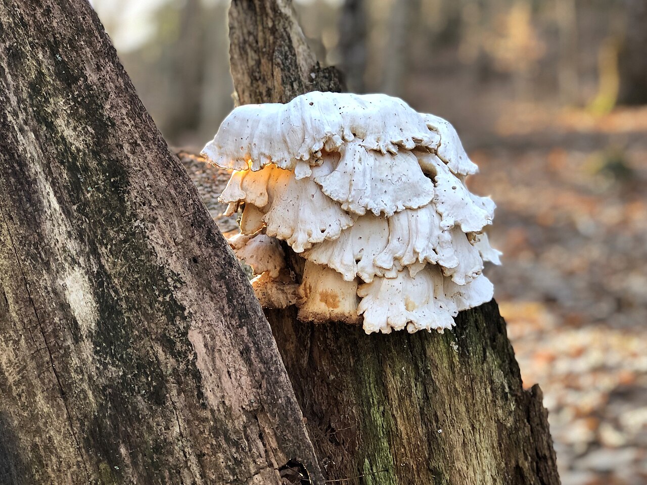 Stuart Campground