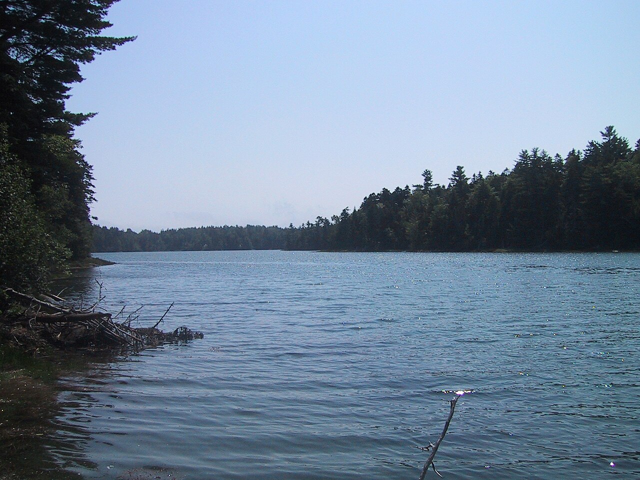 Cobscook Bay State Park Campground