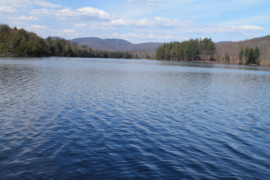 Woods Lake Campsite #4