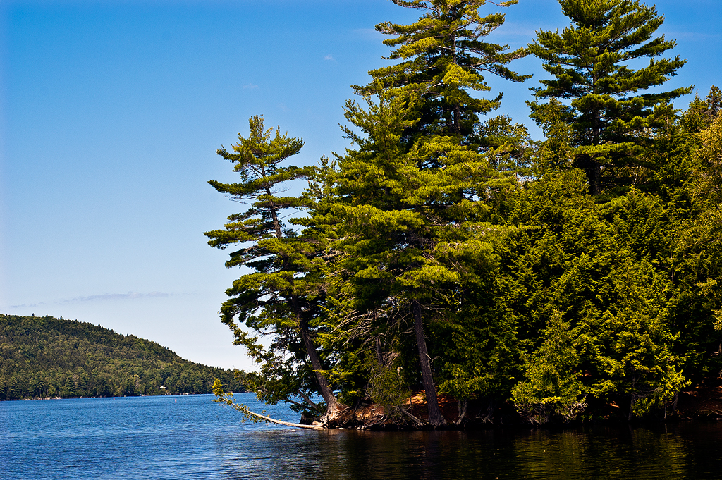 Rowell Cove Campground
