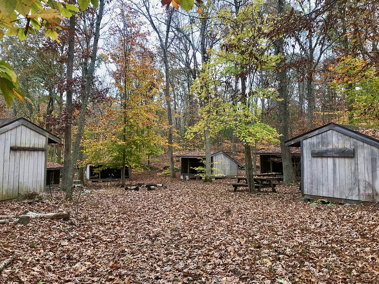Boy Scout Camp