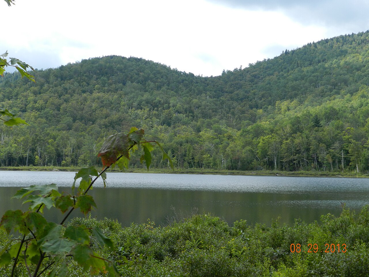 NYS DEC designated campsite.