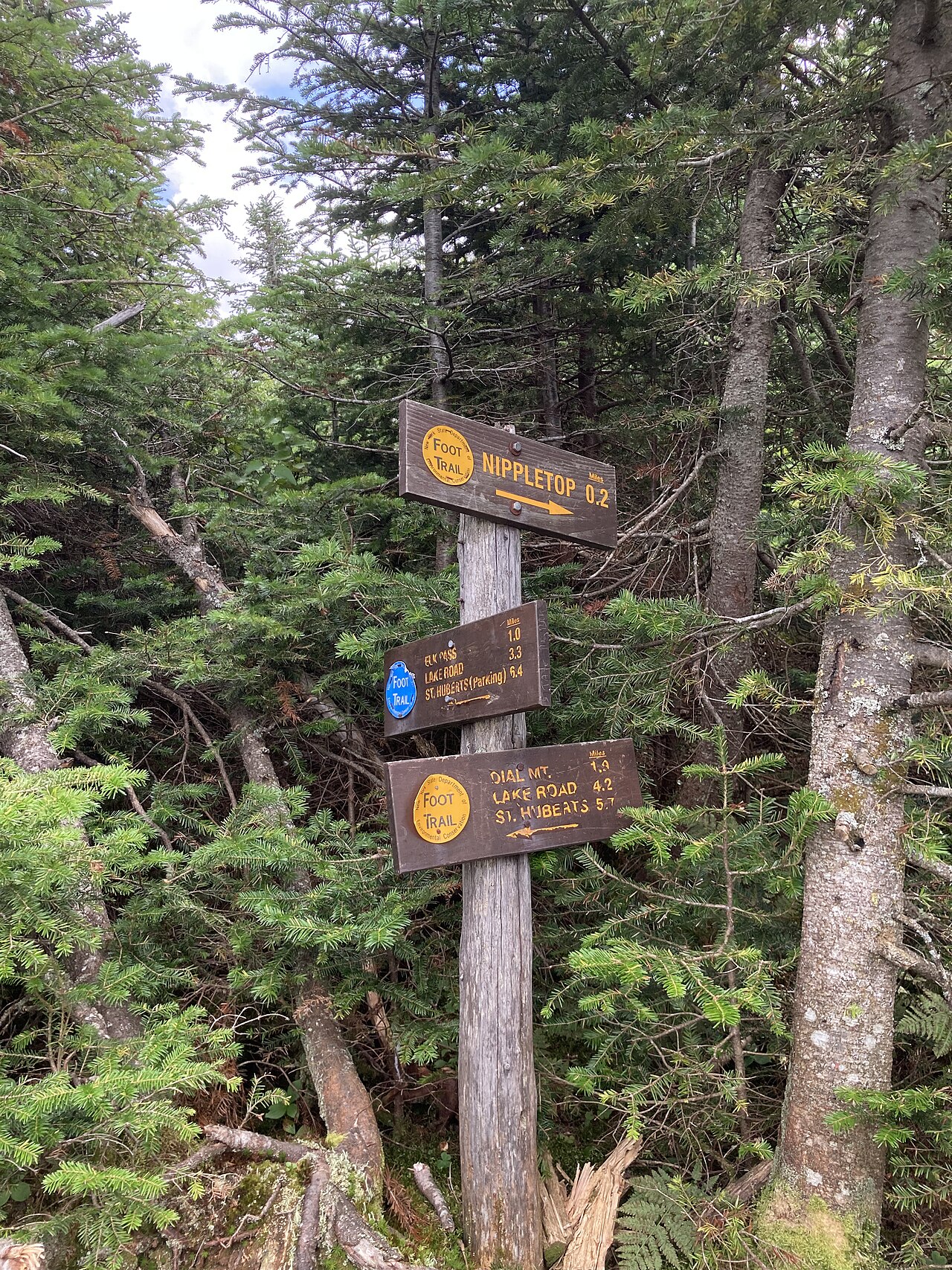 NYSDEC designated campsite.