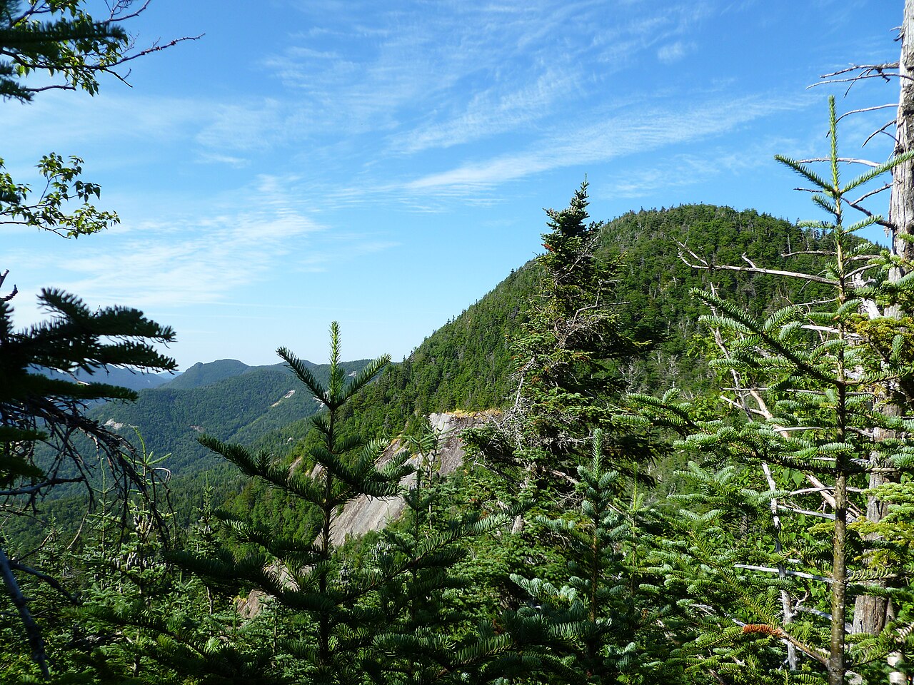 NYSDEC designated campsite.