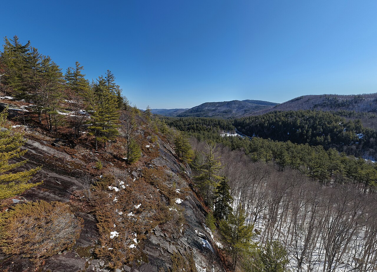 NYSDEC designated campsite