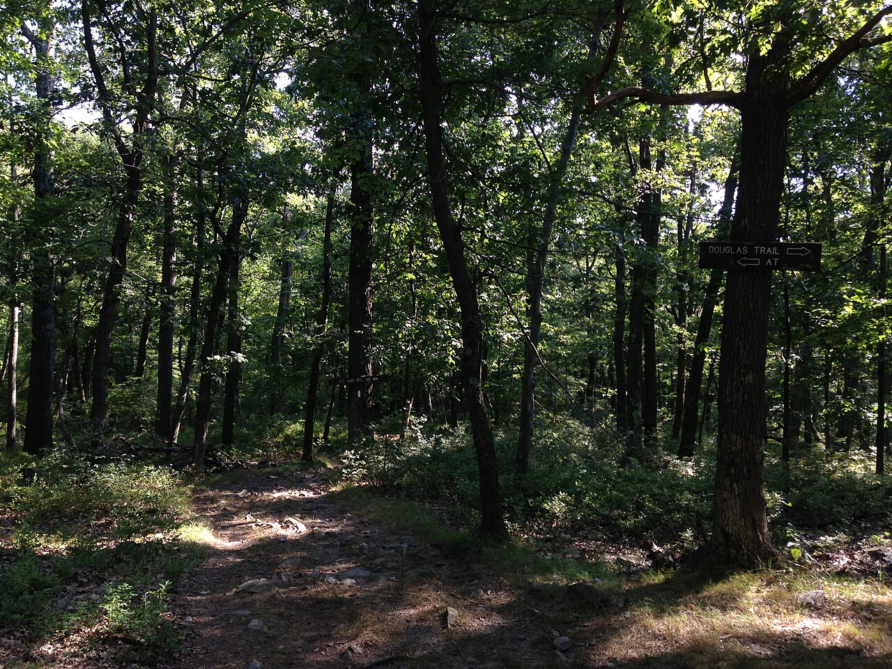 Backpacker Campsite 2